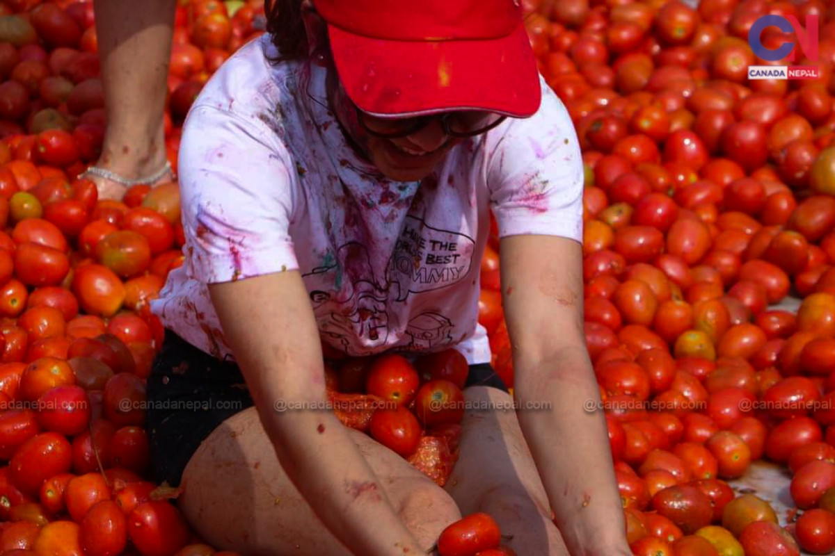 la tomatina21678105170.jpg